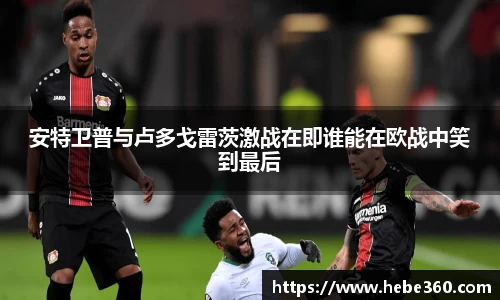 BOB半岛登录入口