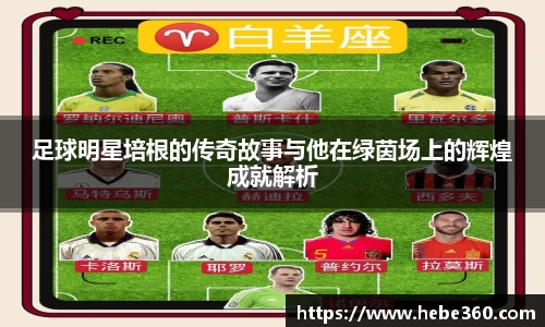 BOB半岛登录入口