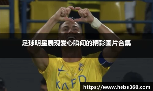 BOB半岛官方网站